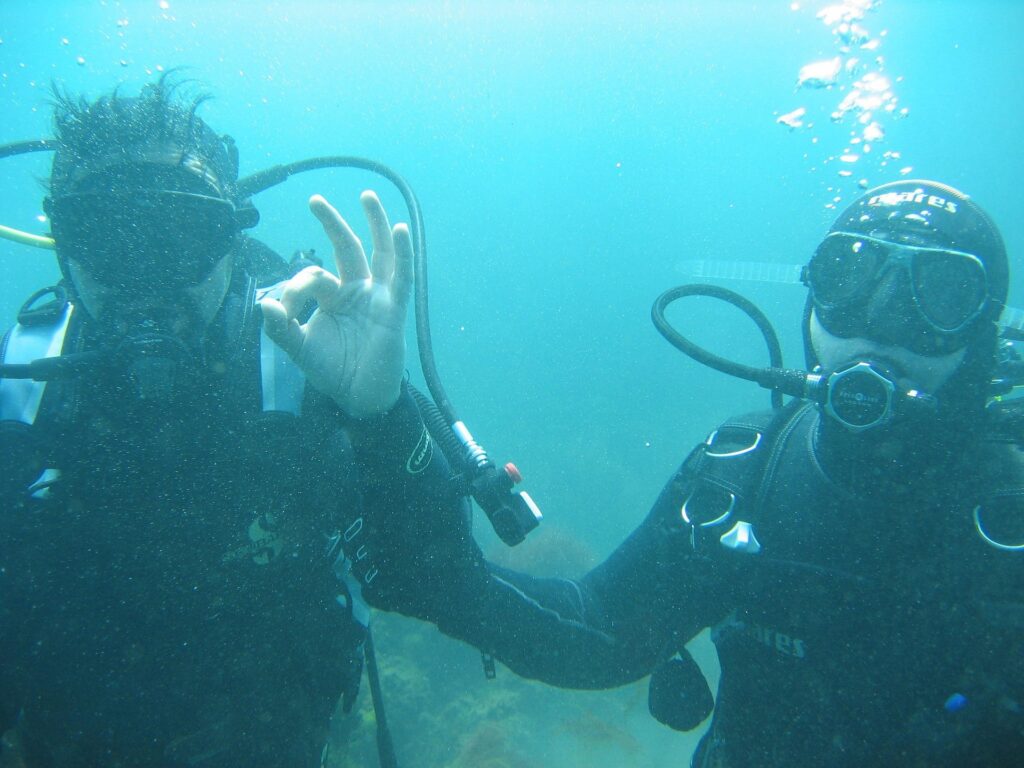 jlopezguerrero diving 233541 1920 1024x768 Les petites news